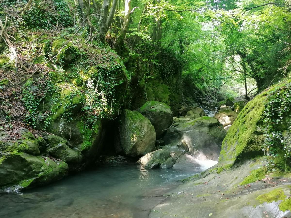 Villa Les Pedres Camprodon Esterno foto
