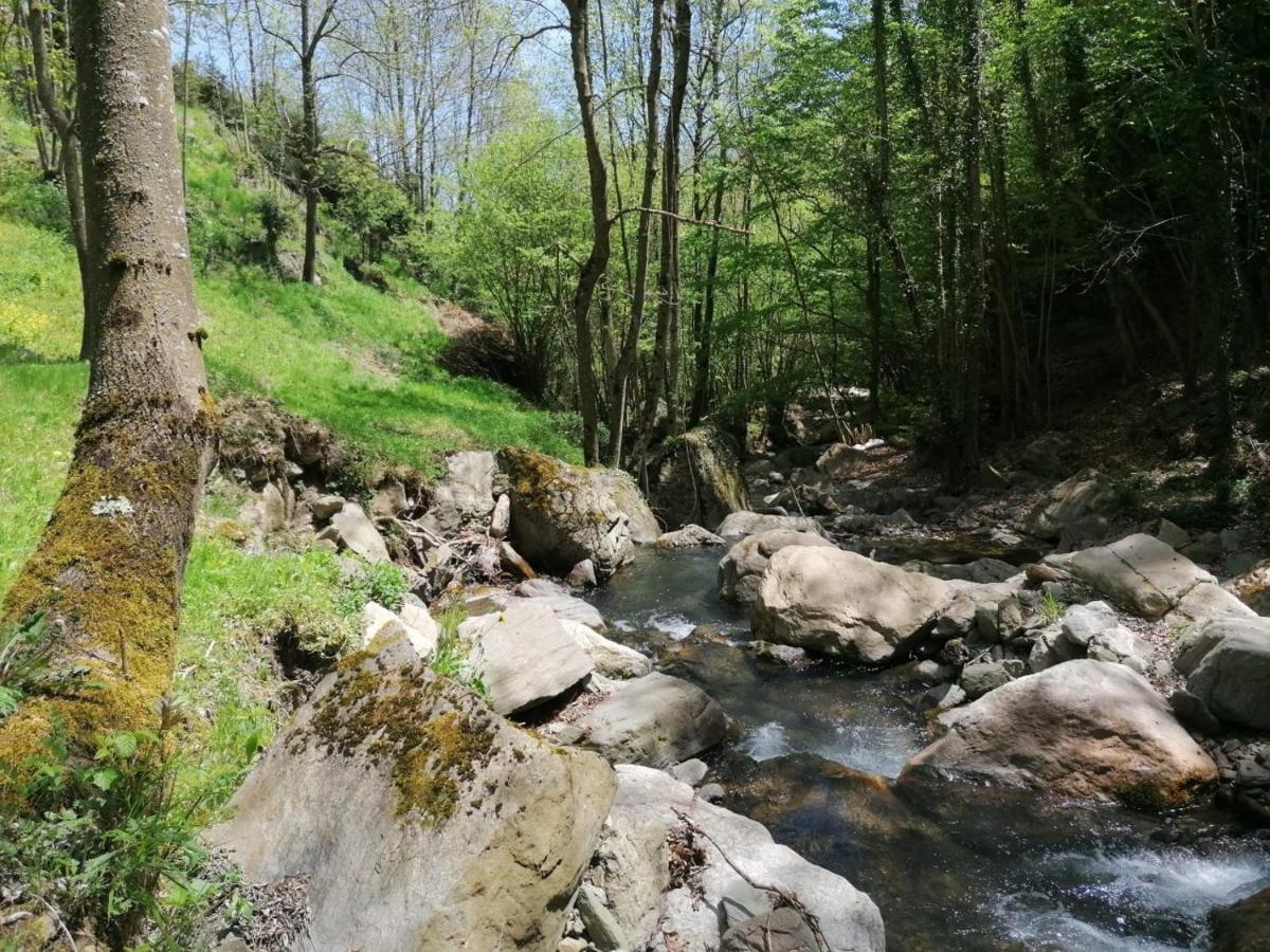 Villa Les Pedres Camprodon Esterno foto