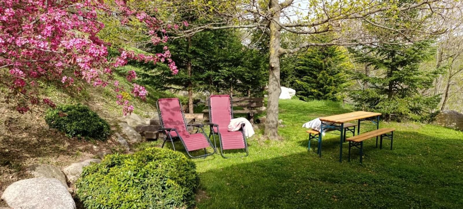 Villa Les Pedres Camprodon Esterno foto