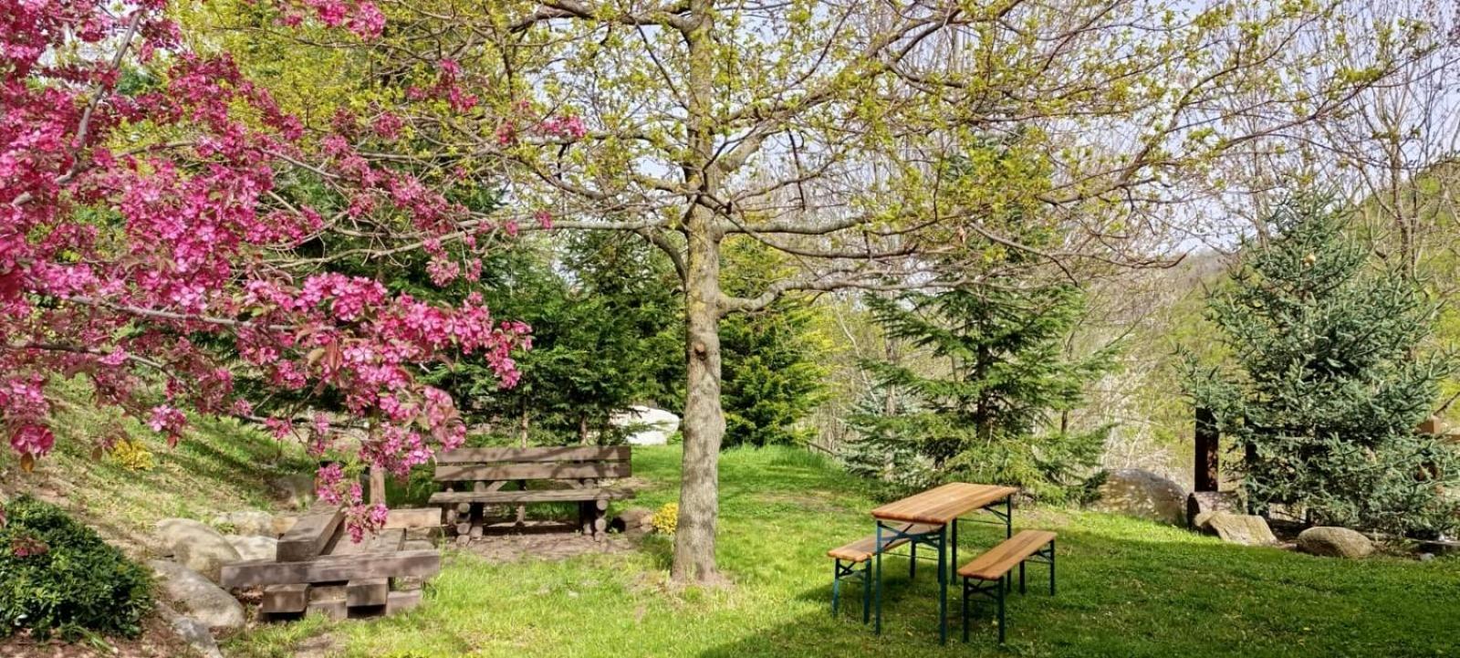 Villa Les Pedres Camprodon Esterno foto